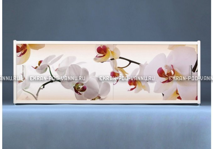 Раздвижной ФОТО экран - Orchid – купить по цене 8500 руб. в интернет-магазине в городе Пермь картинка 1