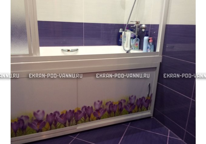 Экран на роликах EUROPLEX  Ирисы – купить по цене 12400 руб. в интернет-магазине в городе Пермь картинка 3
