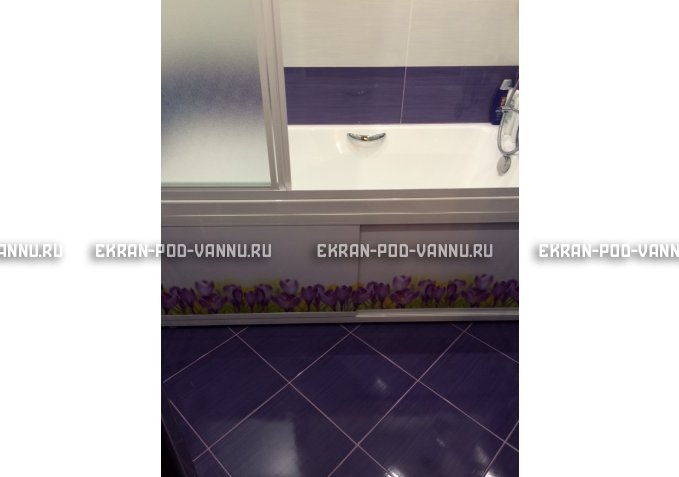 Экран на роликах EUROPLEX  Ирисы – купить по цене 12400 руб. в интернет-магазине в городе Пермь картинка 4
