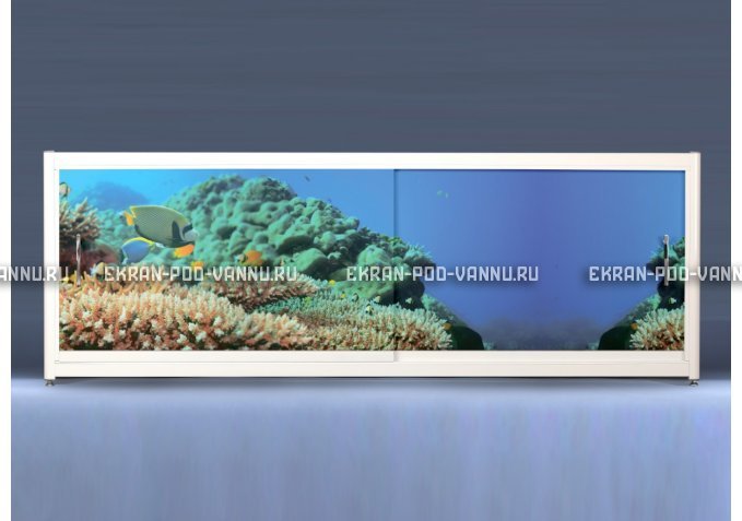 Экран на роликах EUROPLEX Коралловые рифы – купить по цене 12400 руб. в интернет-магазине в городе Пермь картинка 1